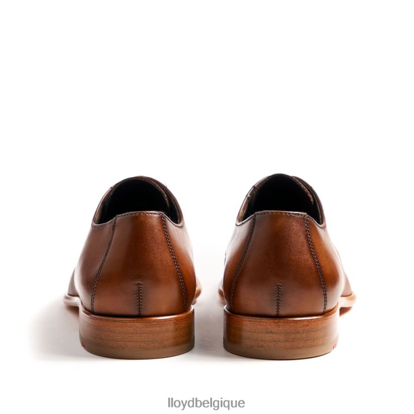 LLOYD Saïgon Hommes brun 4Z6Z66158 chaussures
