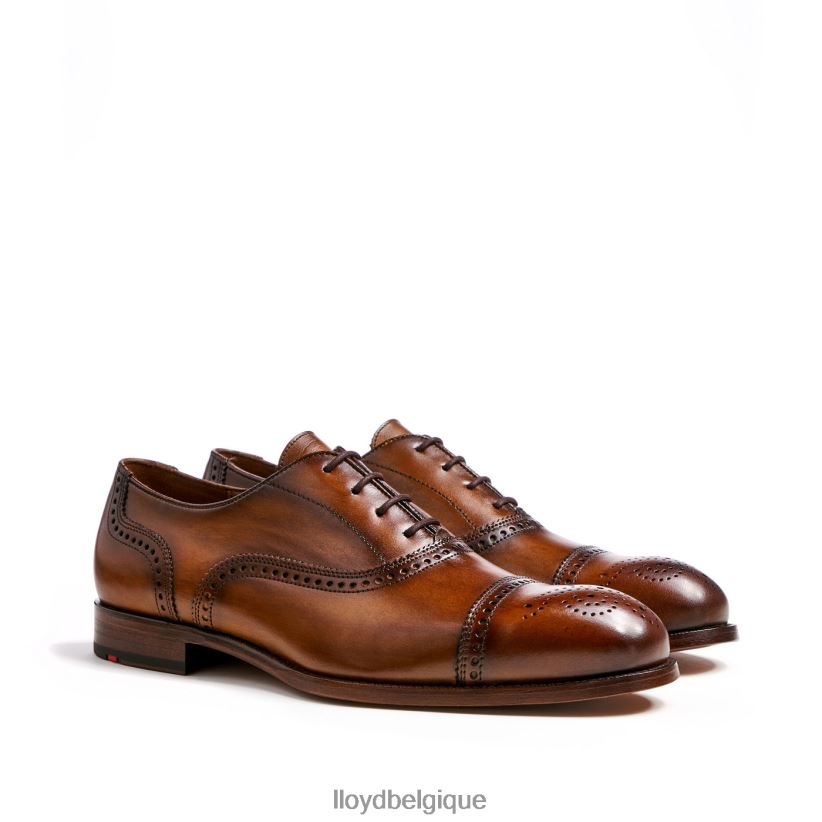 LLOYD Sheffield Hommes brun 4Z6Z66219 chaussures