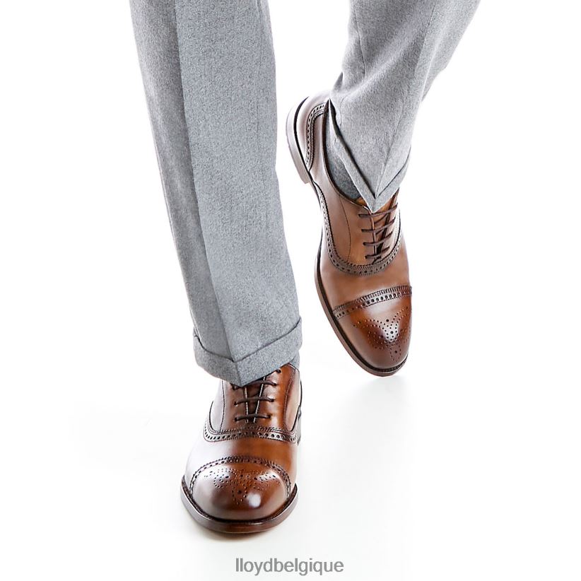 LLOYD Sheffield Hommes brun 4Z6Z66219 chaussures