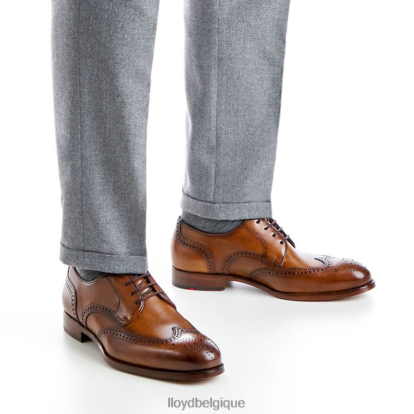 LLOYD Sheridan Hommes brun 4Z6Z66205 chaussures