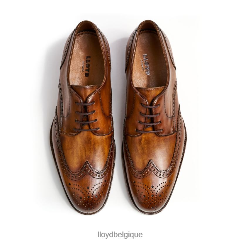 LLOYD Sheridan Hommes brun 4Z6Z66205 chaussures