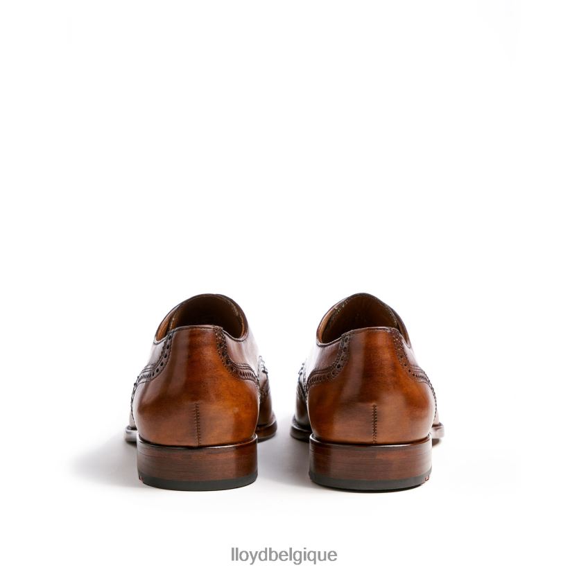 LLOYD Sheridan Hommes brun 4Z6Z66205 chaussures