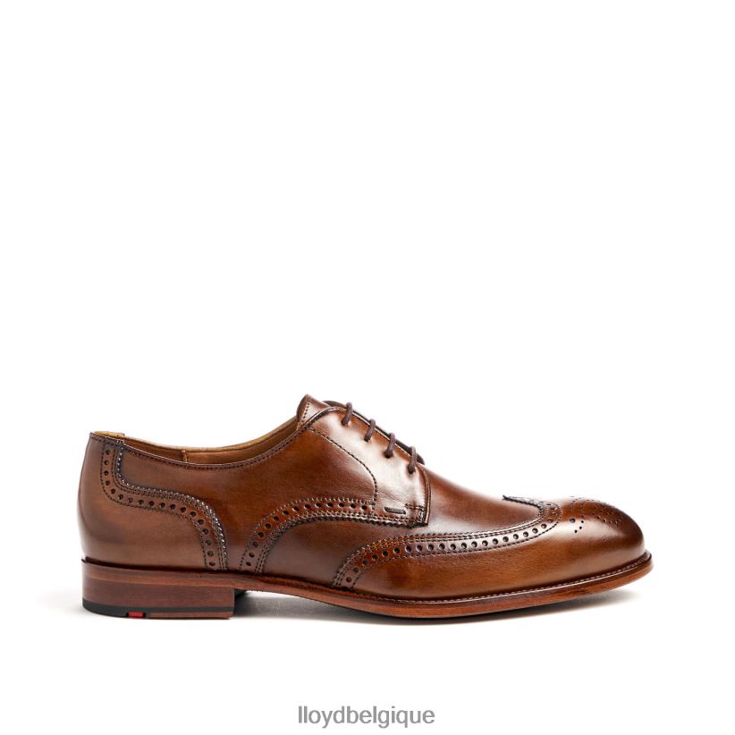 LLOYD Stafford Hommes brun 4Z6Z6669 chaussures