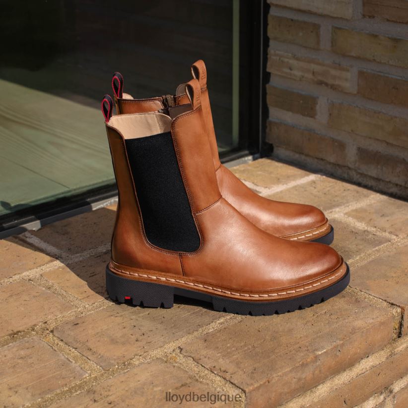 LLOYD Stiefelette femmes brun 4Z6Z66963 chaussures