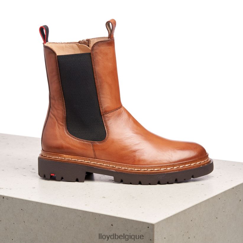 LLOYD Stiefelette femmes brun 4Z6Z66963 chaussures