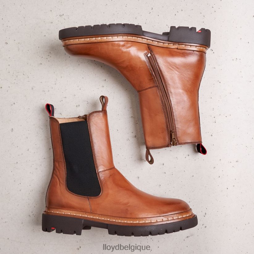 LLOYD Stiefelette femmes brun 4Z6Z66963 chaussures