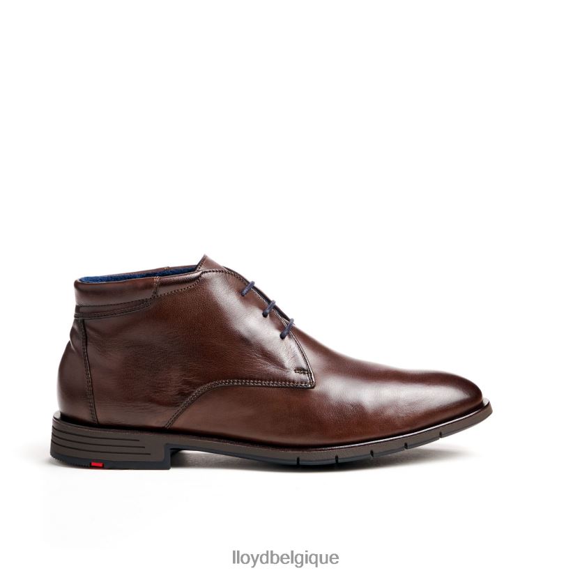 LLOYD Tamar Hommes brun 4Z6Z6655 chaussures