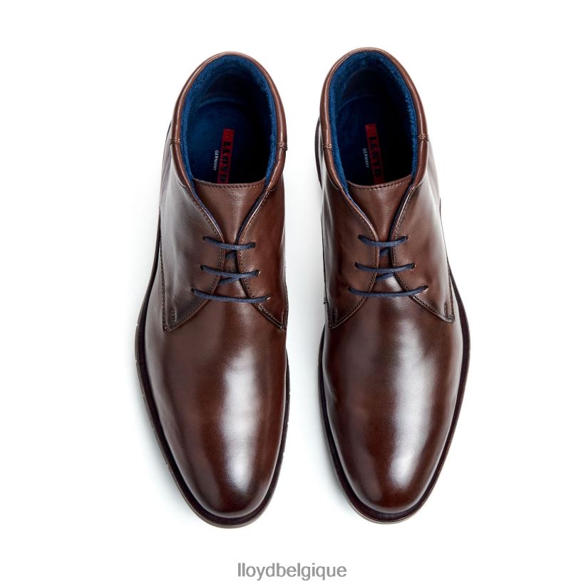 LLOYD Tamar Hommes brun 4Z6Z6655 chaussures