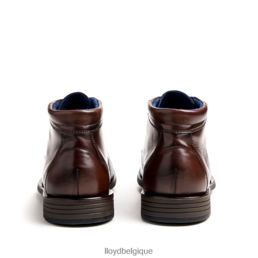 LLOYD Tamar Hommes brun 4Z6Z6655 chaussures