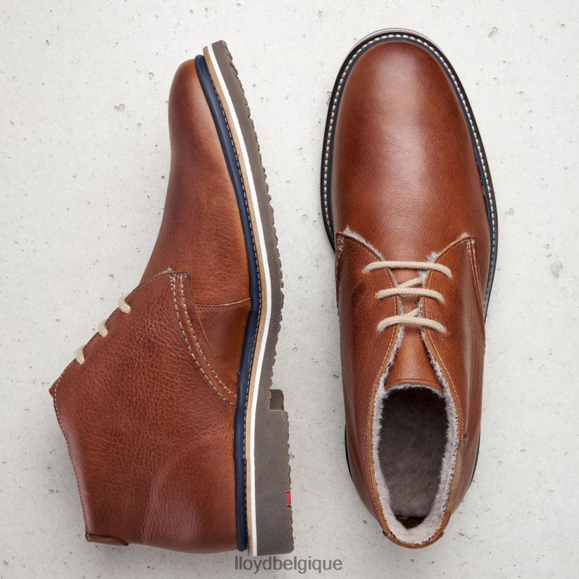 LLOYD Valence Hommes brun 4Z6Z66507 chaussures