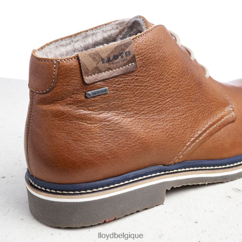 LLOYD Valence Hommes brun 4Z6Z66507 chaussures