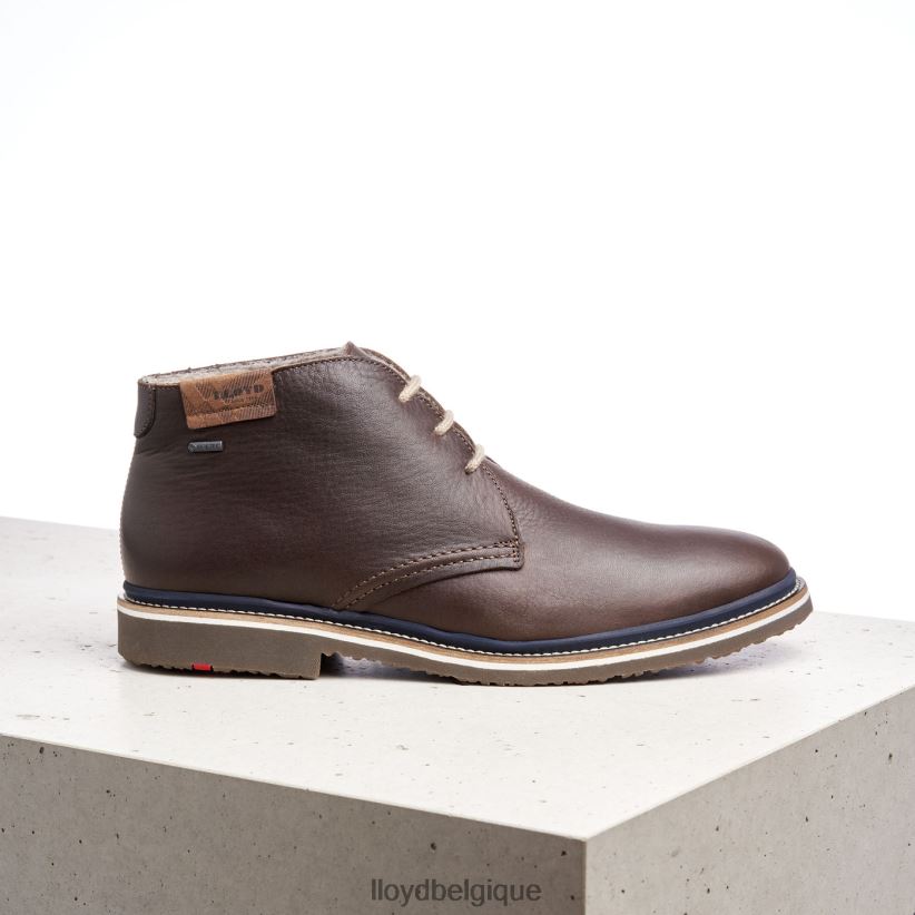 LLOYD Valence Hommes brun 4Z6Z66508 chaussures
