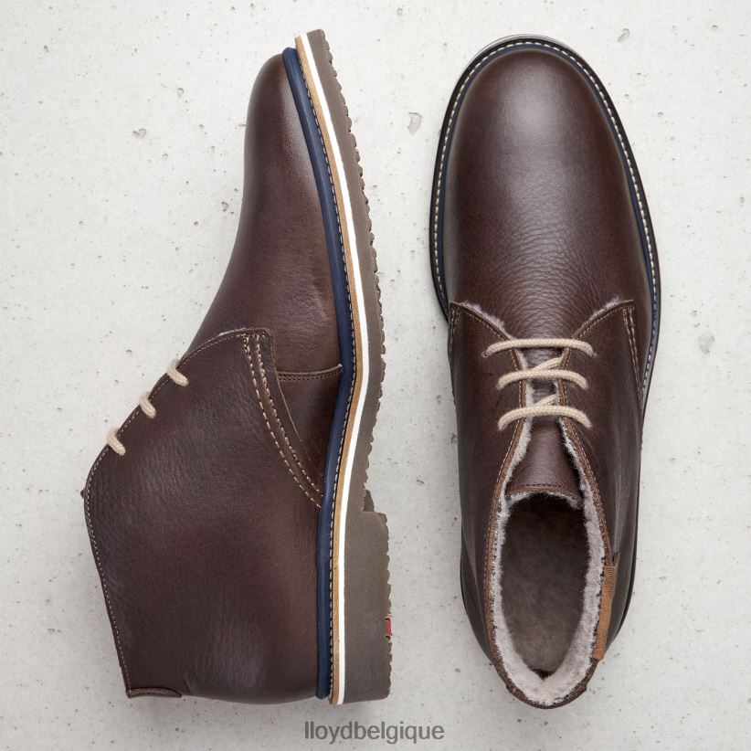 LLOYD Valence Hommes brun 4Z6Z66508 chaussures