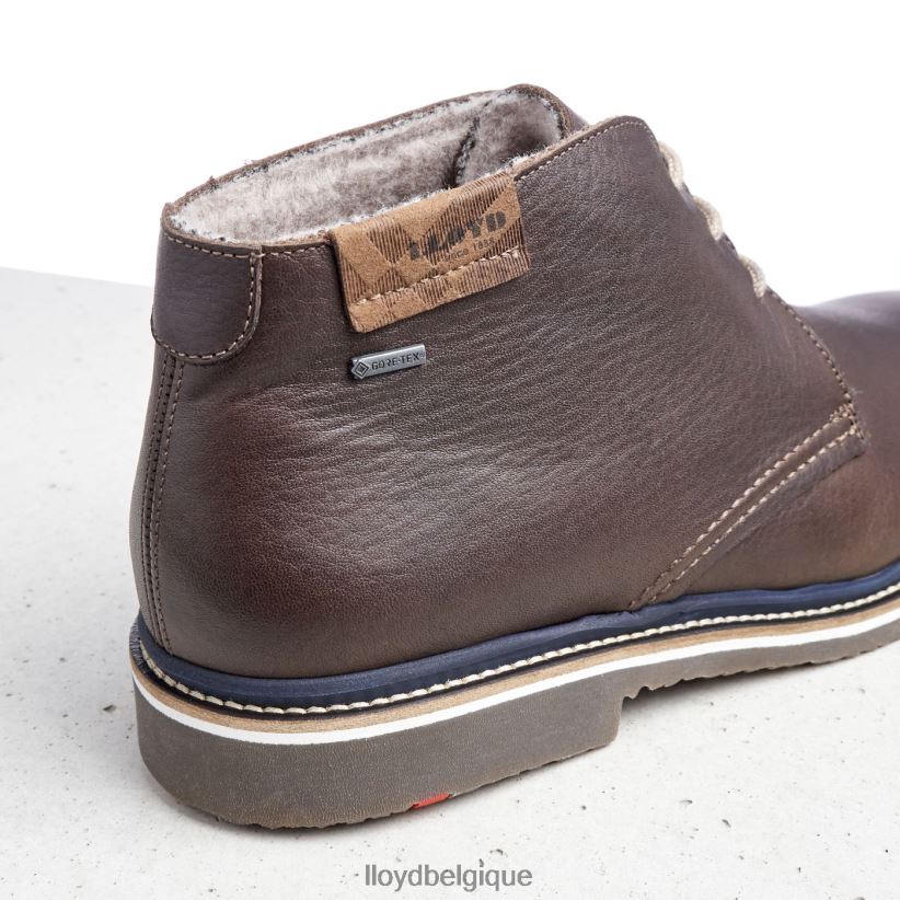 LLOYD Valence Hommes brun 4Z6Z66508 chaussures