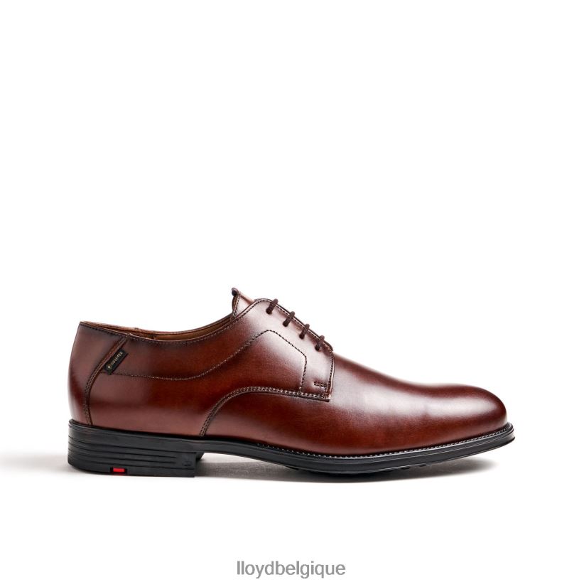 LLOYD Valmarie Hommes brun 4Z6Z6622 chaussures
