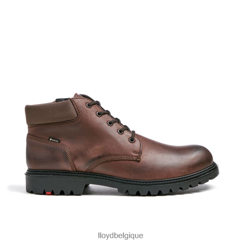 LLOYD Vancouver Hommes brun 4Z6Z66534 chaussures