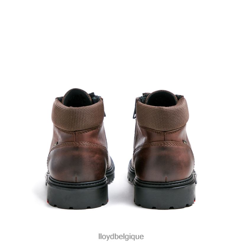 LLOYD Vancouver Hommes brun 4Z6Z66534 chaussures