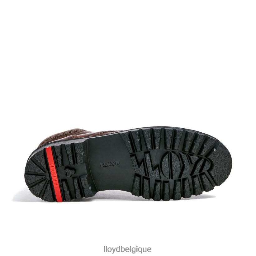 LLOYD Vancouver Hommes brun 4Z6Z66534 chaussures