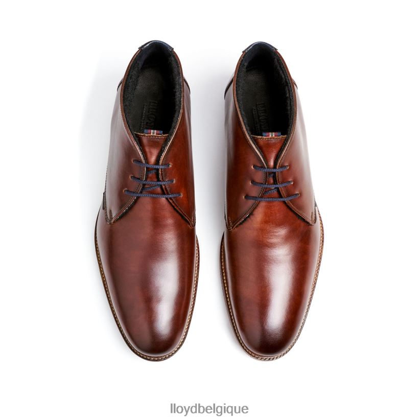 LLOYD Verdon Hommes brun 4Z6Z66138 chaussures