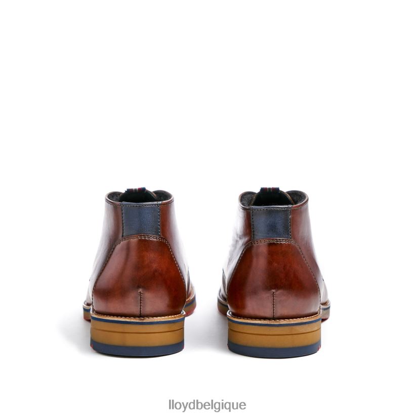 LLOYD Verdon Hommes brun 4Z6Z66138 chaussures