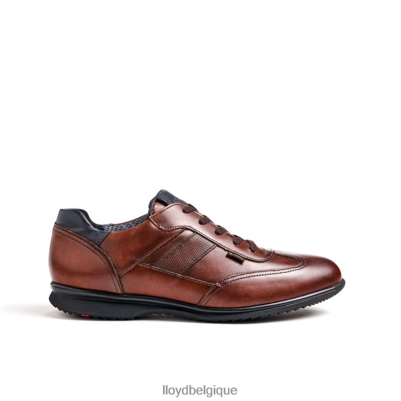 LLOYD Vernon Hommes brun 4Z6Z66136 chaussures