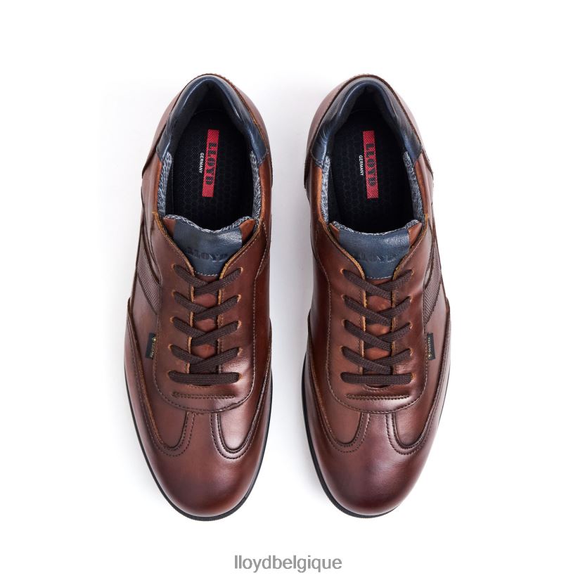 LLOYD Vernon Hommes brun 4Z6Z66136 chaussures