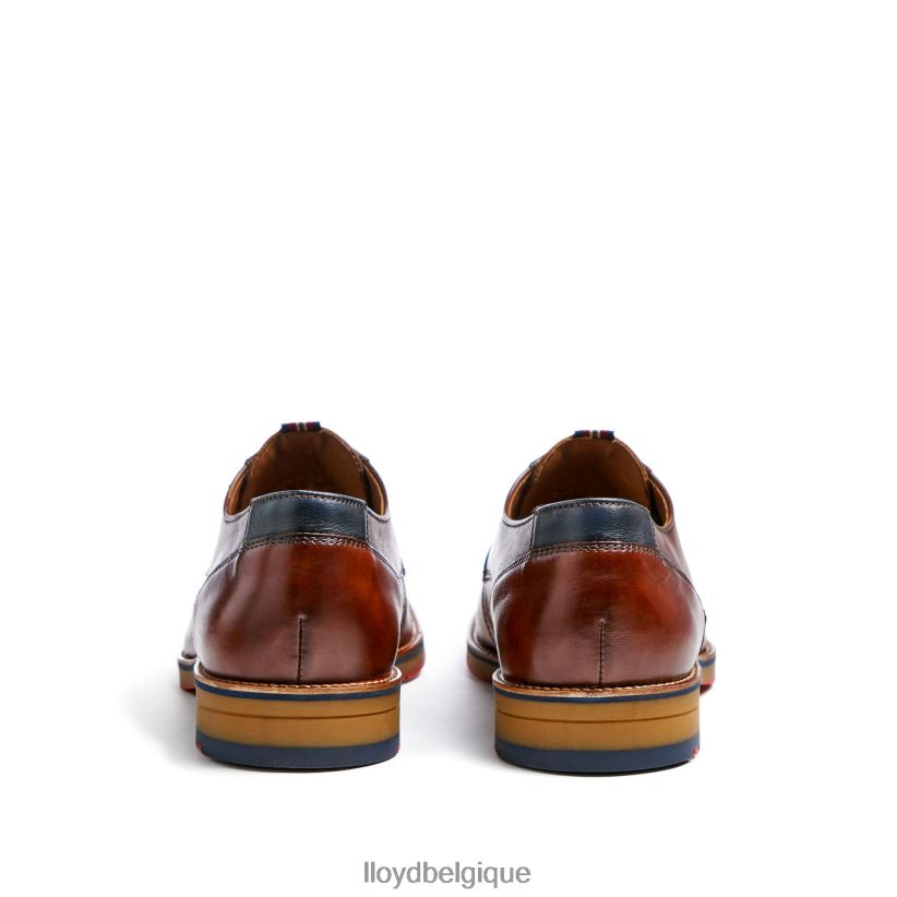 LLOYD Vickers Hommes brun 4Z6Z66122 chaussures