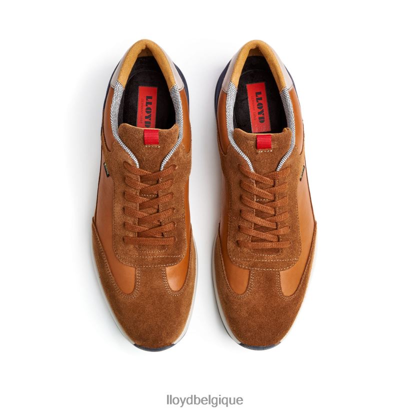 LLOYD Védée Hommes brun 4Z6Z66322 chaussures