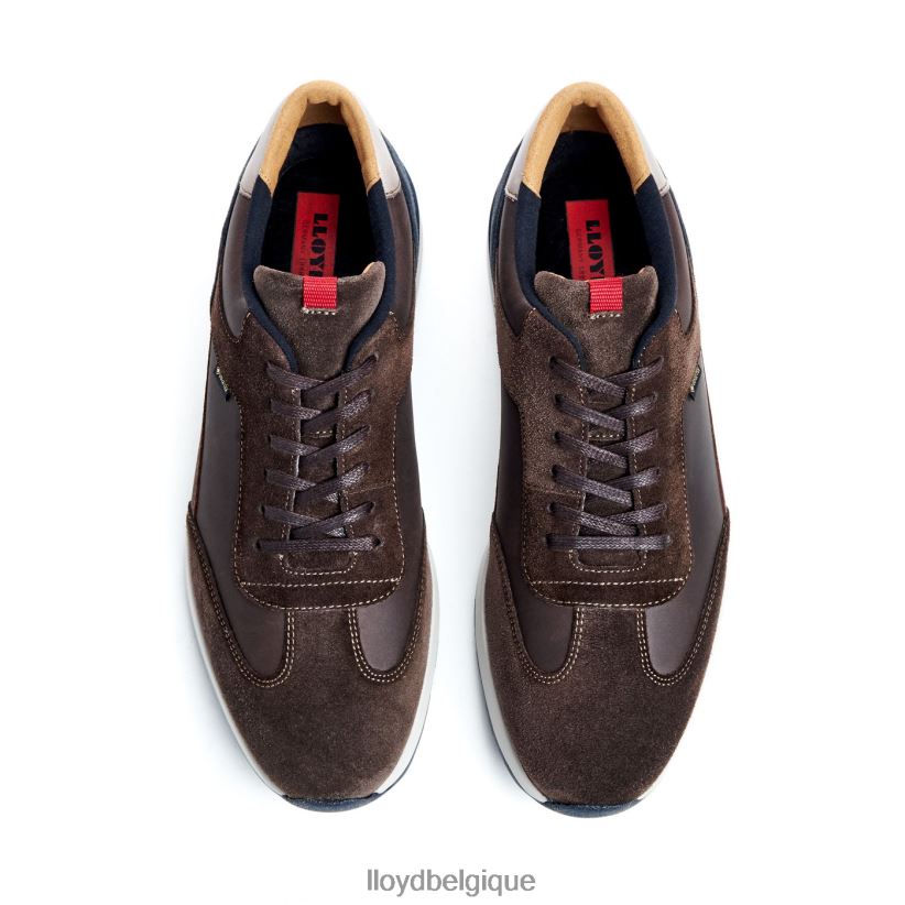LLOYD Védée Hommes brun 4Z6Z66323 chaussures
