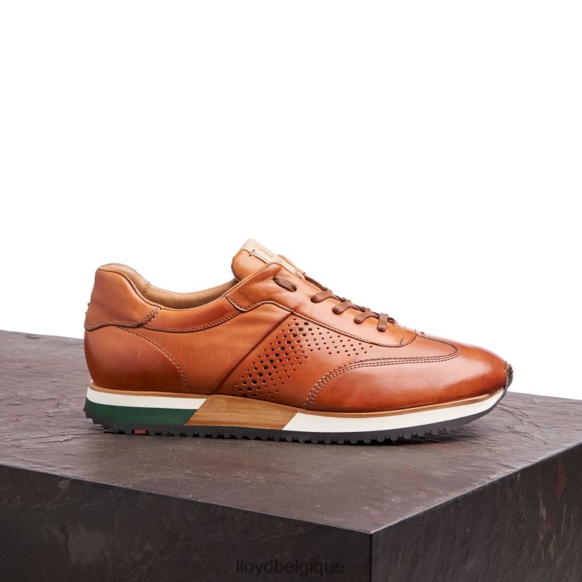 LLOYD Walcott Hommes brun 4Z6Z66180 chaussures