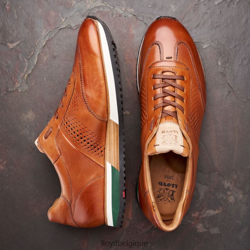 LLOYD Walcott Hommes brun 4Z6Z66180 chaussures