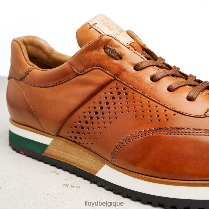 LLOYD Walcott Hommes brun 4Z6Z66180 chaussures