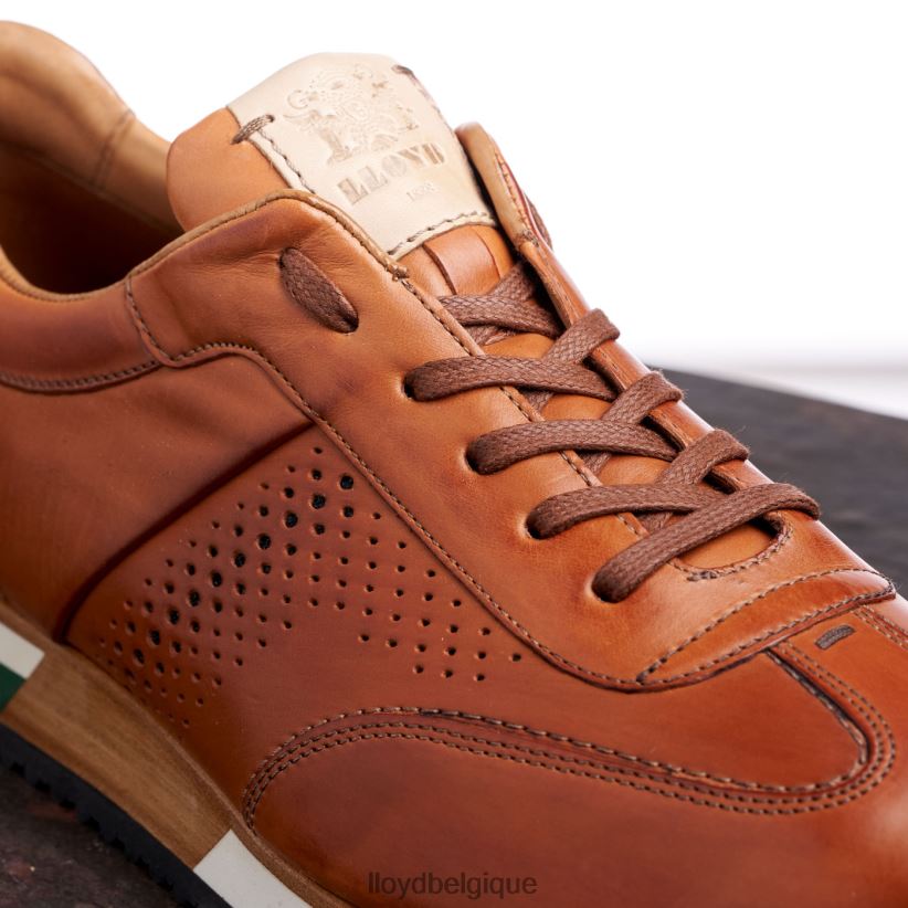 LLOYD Walcott Hommes brun 4Z6Z66180 chaussures