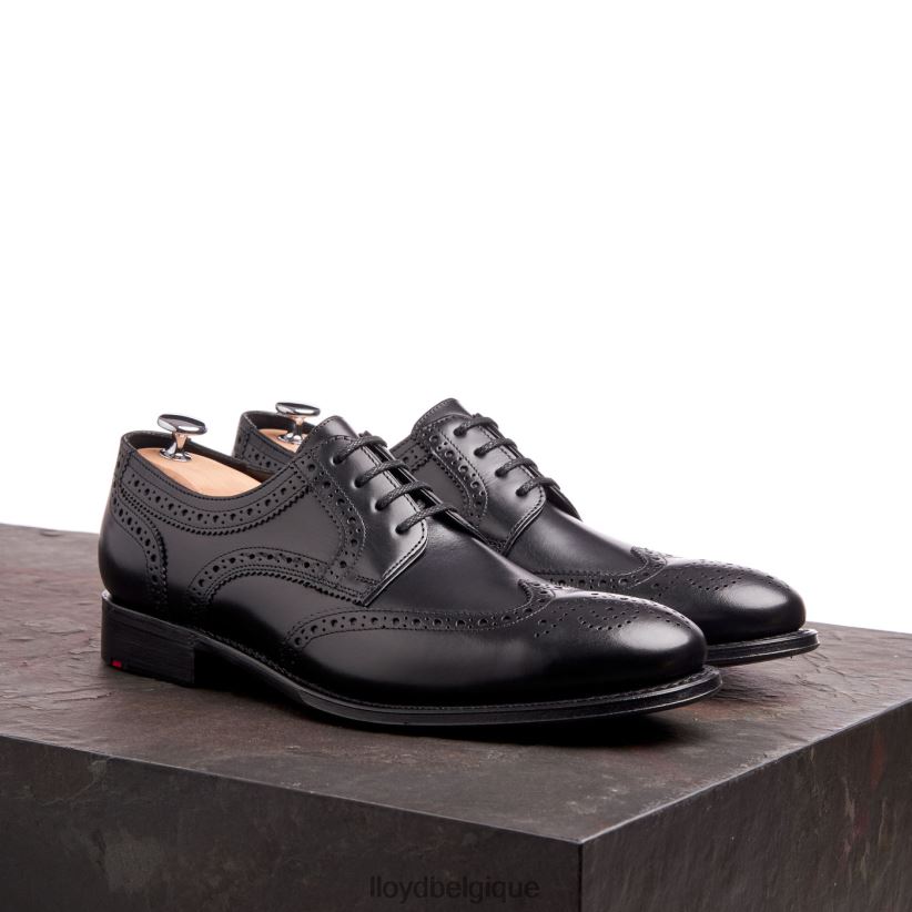 LLOYD Waltham Hommes noir 4Z6Z6670 chaussures