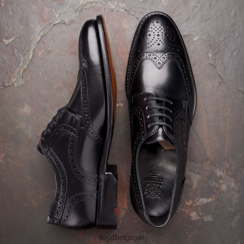 LLOYD Waltham Hommes noir 4Z6Z6670 chaussures