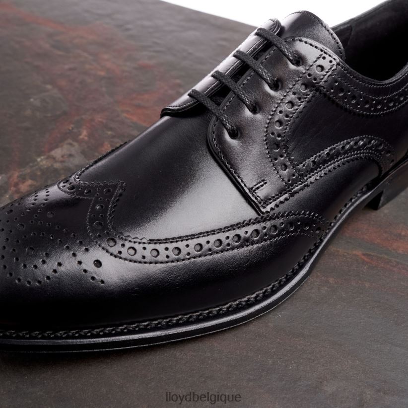 LLOYD Waltham Hommes noir 4Z6Z6670 chaussures