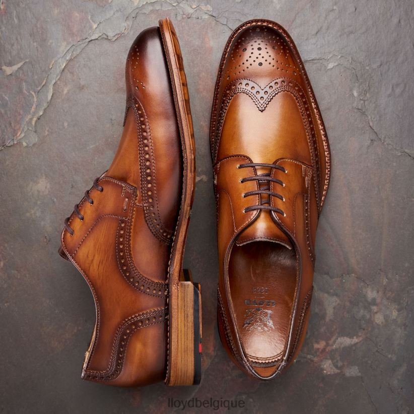 LLOYD Warwick Hommes brun 4Z6Z6674 chaussures