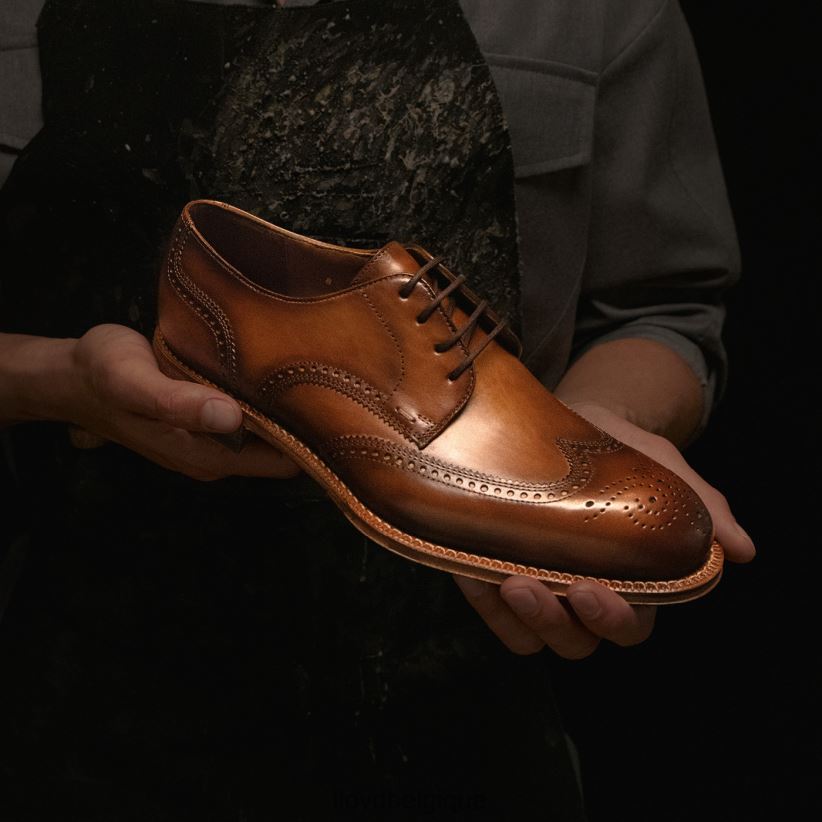 LLOYD Warwick Hommes brun 4Z6Z6674 chaussures