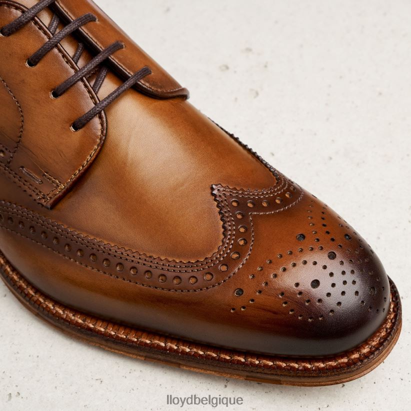 LLOYD Warwick Hommes brun 4Z6Z6674 chaussures