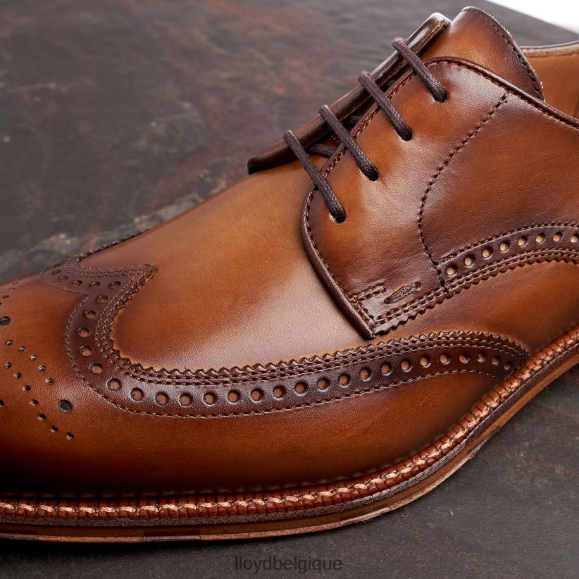 LLOYD Warwick Hommes brun 4Z6Z6674 chaussures