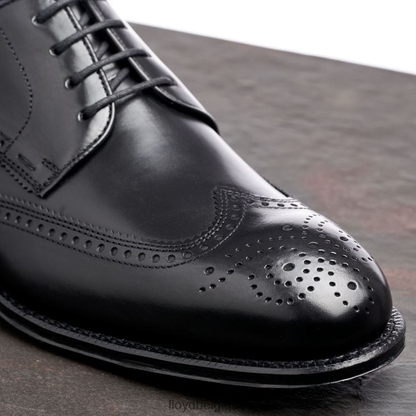 LLOYD Warwick Hommes noir 4Z6Z6618 chaussures