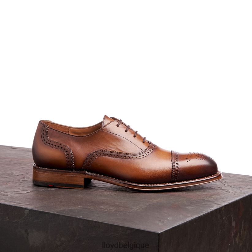 LLOYD Waterloo Hommes brun 4Z6Z6621 chaussures