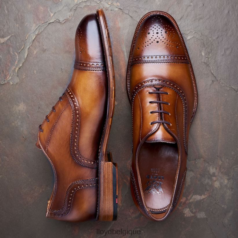 LLOYD Waterloo Hommes brun 4Z6Z6621 chaussures