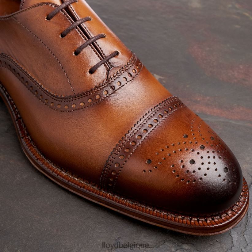 LLOYD Waterloo Hommes brun 4Z6Z6621 chaussures