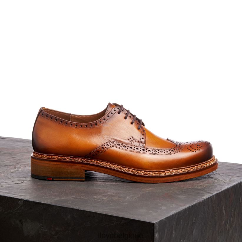 LLOYD Wotan Hommes brun 4Z6Z66163 chaussures