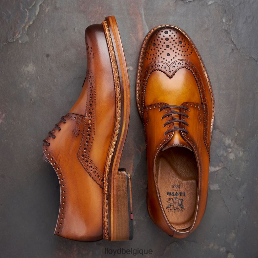 LLOYD Wotan Hommes brun 4Z6Z66163 chaussures