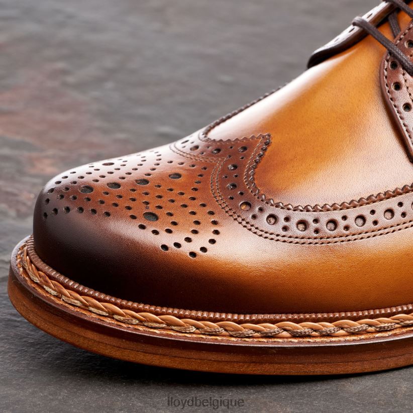 LLOYD Wotan Hommes brun 4Z6Z66163 chaussures