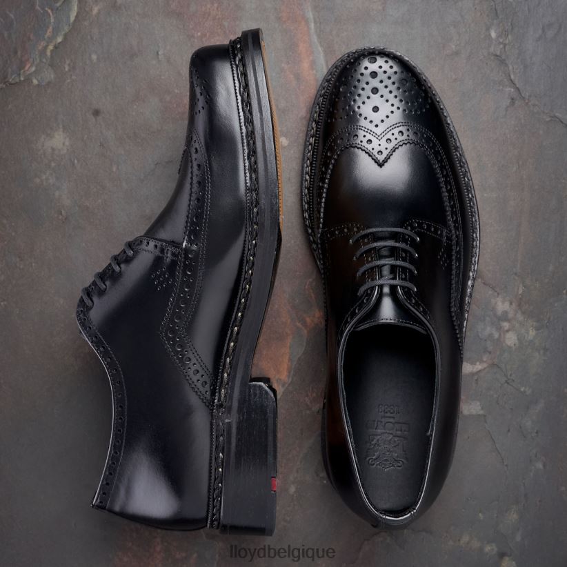 LLOYD Wotan Hommes noir 4Z6Z66162 chaussures