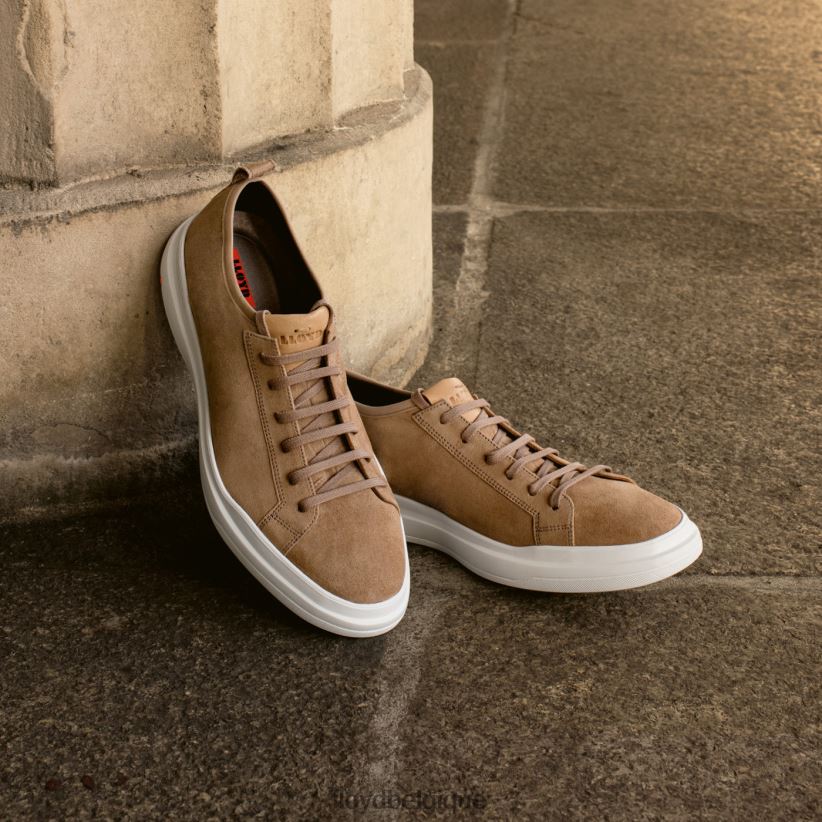 LLOYD aaro Hommes brun 4Z6Z66421 chaussures