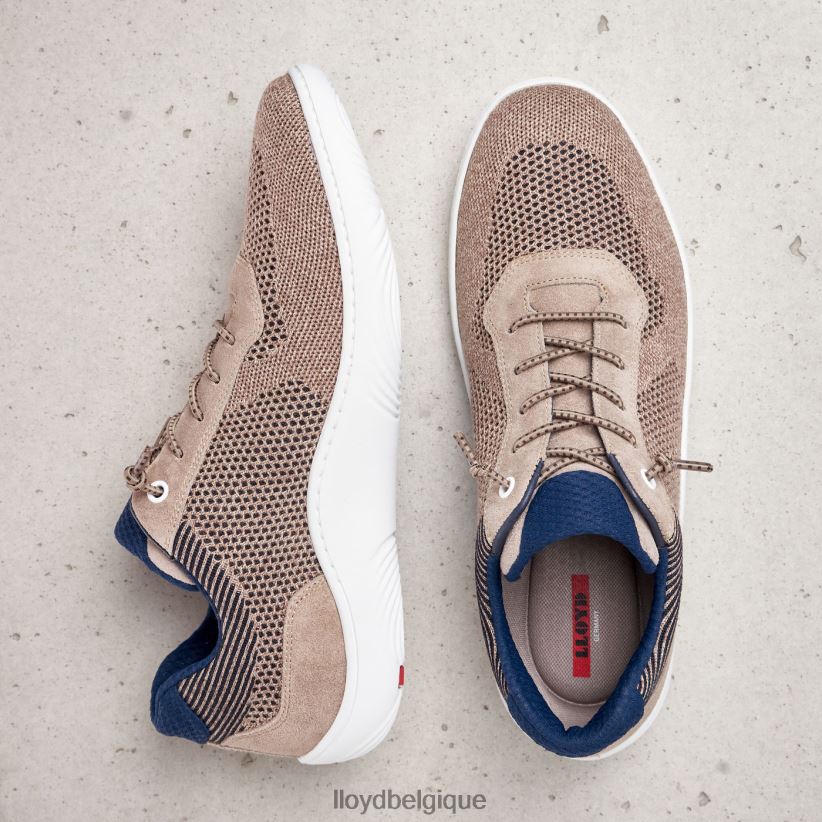 LLOYD adamson Hommes beige 4Z6Z66388 chaussures